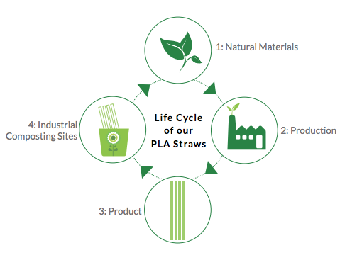 lifecycle